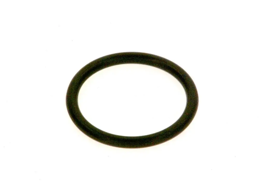 Schwarzer O-Ring von Bosch, rund und ohne sichtbare Maße, auf hellem Hintergrund.